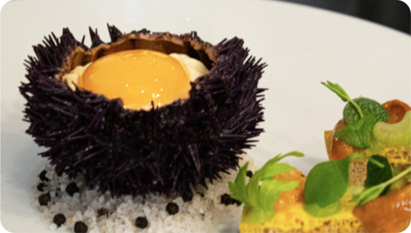 Jour de Marché - Restaurant Lyon 6ème - top resto Lyon